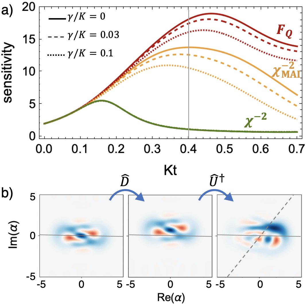 Metrological sensitivity comparison of non-Gaussian squeezed Kerr states at different energy relaxation rates showing loss robustness