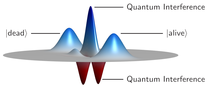 Wigner function of a Schrödinger cat state showing quantum interference