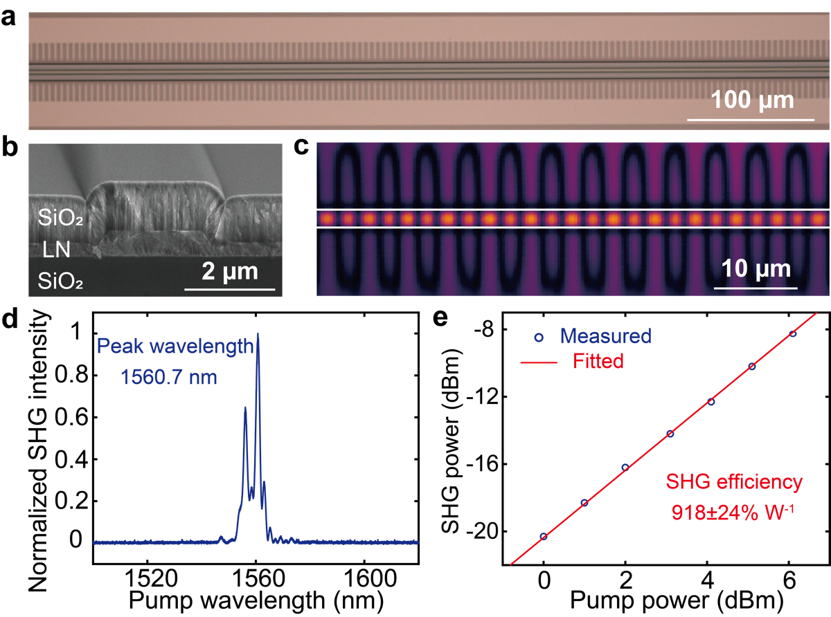 TFLN waveguide OPA design and fabrication