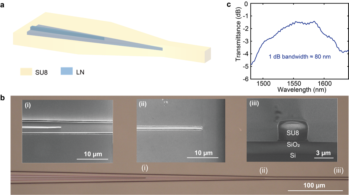 TFLN waveguide squeezing measurement results