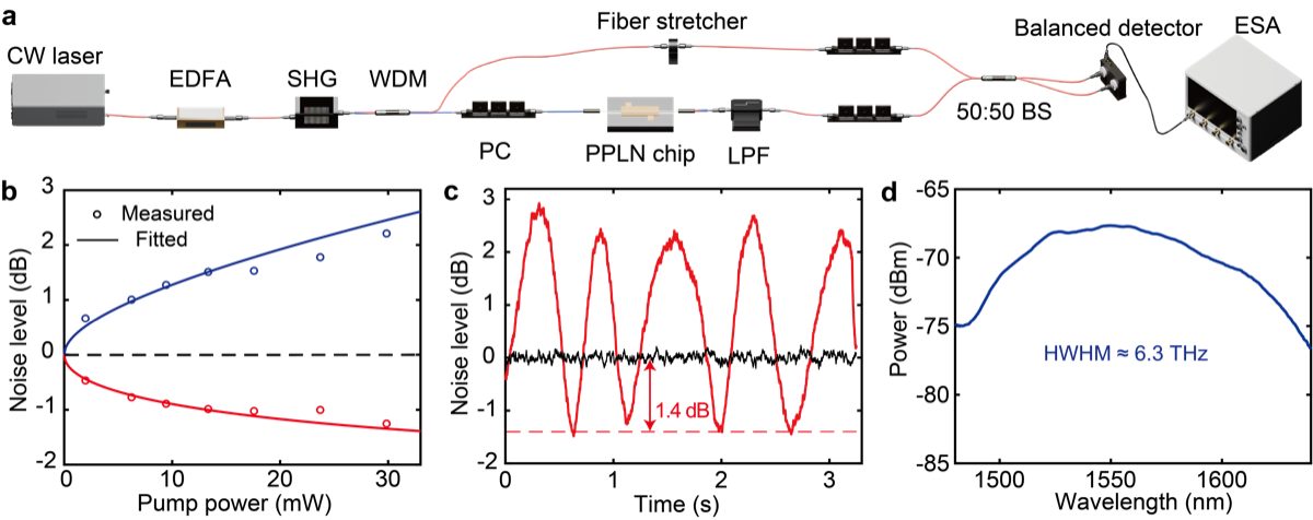 Squeezing measurement setup and results from TFLN waveguide